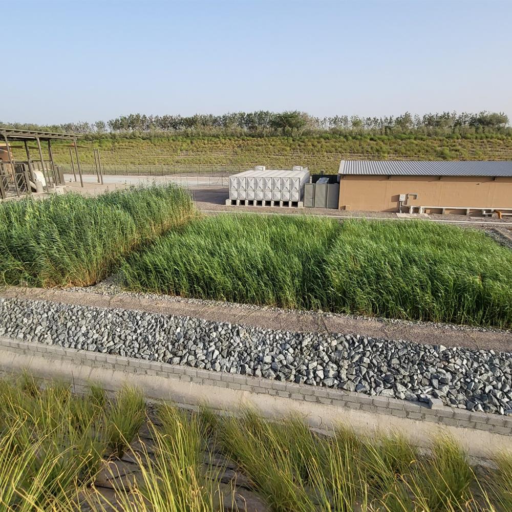 GRP Reed Bed Distribution Channels